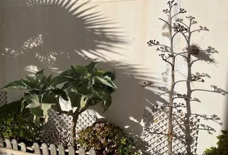 Ferluan II Villa San Jose  Holiday home